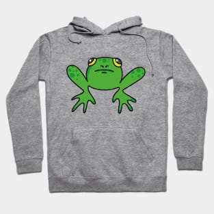 Sad Frog Hoodie